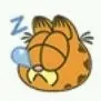 catcass_