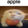 rudyszaleniec_2