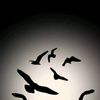 athyy_8