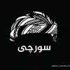 bzhar_surchy1