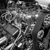 nighthawk_5162