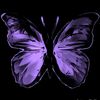 user9800066002918