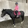 stephtaylorgracie100