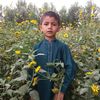 abbass5822