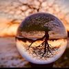 babarchowdhury807
