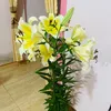 ha.phuong547