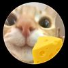 cheesecat84