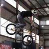 vegg1ebmx