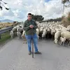 paolorizzuto7