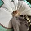 nhattanphann00