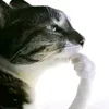 hfhfudhdbdbbd