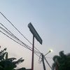 agen_ayam