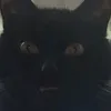loocrose