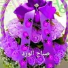 user2913607841956