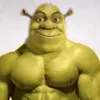 shrek.is.the.best.jest