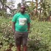 les.ntakubagana