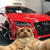 denis_is_a_mennance