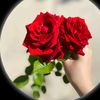user61139010902383