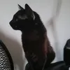 lionelliodouceur