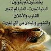 user7795825080336