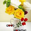 indiastarup