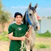 aemn_185