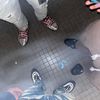 toxicbeans67