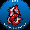 _bibiw.bettafish_