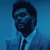 tesfayexo___