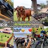 yosimar_martimez40