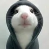heaapheap