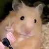 Kẹo dẻo chip chip 🍬
