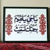 ali7419319581