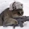 userj13g6dqzur