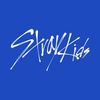 straykidskz00