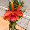 sunnyshop81
