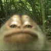 hiiisksbd