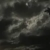 username10384628