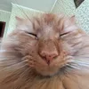 Sergey