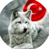 cengizkurt731