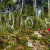 petualang_001