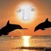 cichristiane