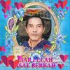 harpan.pan6