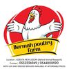 Bermah Farms. 🐔🐓🥚 🐥