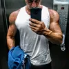 rogerzago92