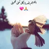 user3491074806172