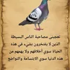 user6134010674271