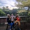 forzaardi