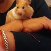 nancyarismatt