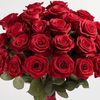 adespecial11